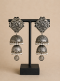 Charulata Two layered Jhumka